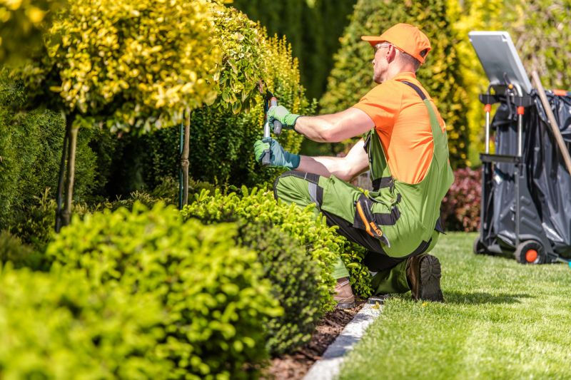 Pavers Installation