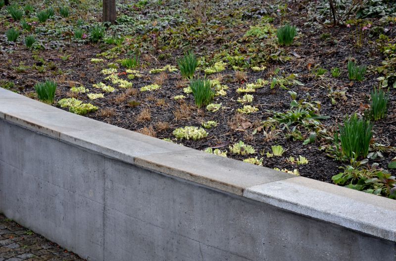 Retaining Walls and Borders